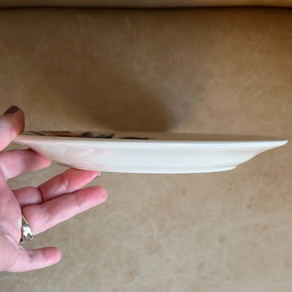 Set of 2 Pier 1 Hummingbirds and Roses 8.75" Ironstone Salad/Lunch Plates - Picture 10 of 10